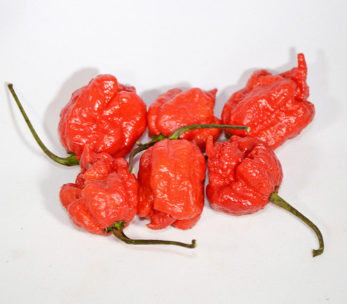 Primo Red Pepper