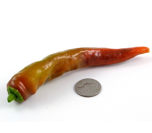 Manganji Pepper Seeds