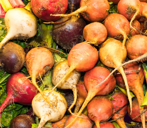 Rainbow Beet Mix Seeds