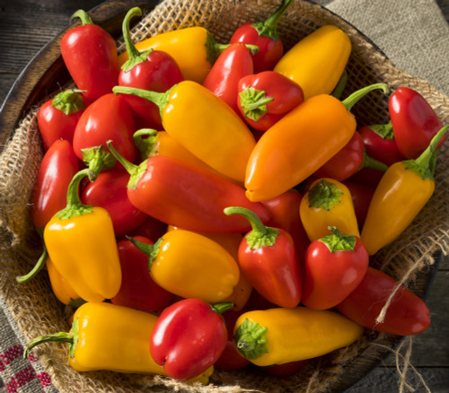 Lunchbox Pepper Mix Seeds