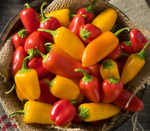 Lunchbox Pepper Mix Seeds