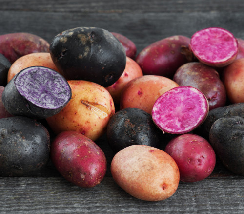 Potato Multicolor Mix Seeds Potato Multicolor Mix Seeds