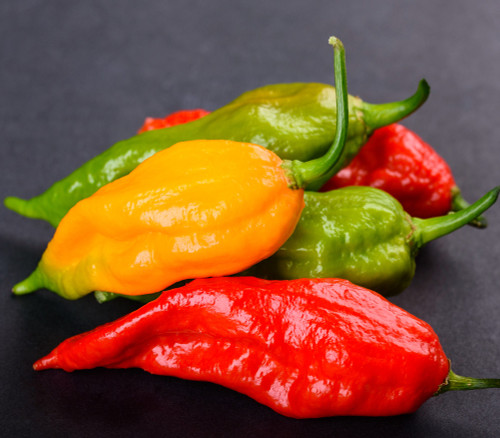 Bhut Jolokia Pepper, Mixed Seeds