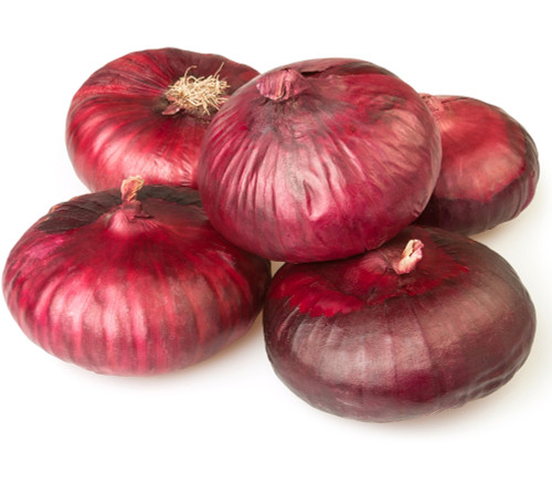 Cipollini Red Onion Seeds Cipollini Red Onion Seeds