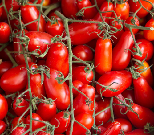 Ten Fingers of Naples Tomato Seeds