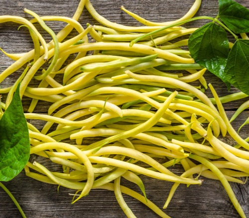 Golden Yellow Wax Bean Seeds