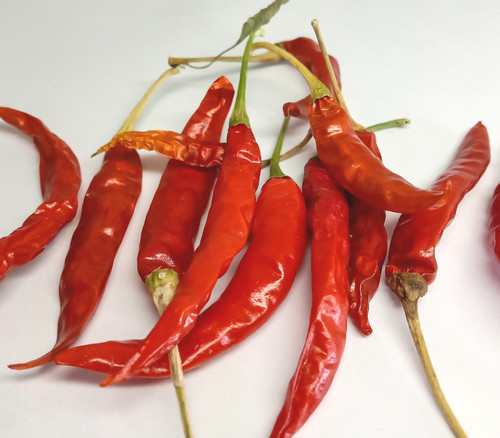 Kashmir Pepper Seeds