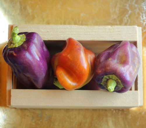 Sweet Lilac Bell Pepper Seeds
