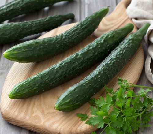China Jade Cucumber Seeds
