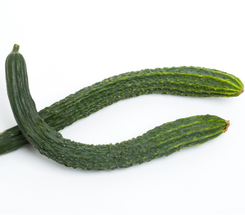 Chinese Snake Cucumber Seeds