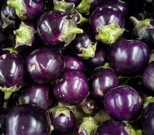 Round Purple Thai Eggplant Seeds