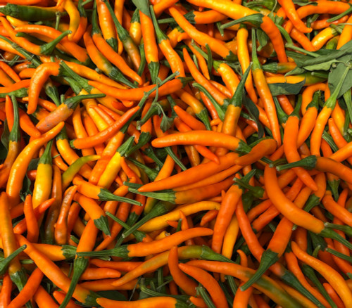 Orange Cayenne Pepper Seeds