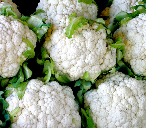 Igloo Cauliflower Seeds