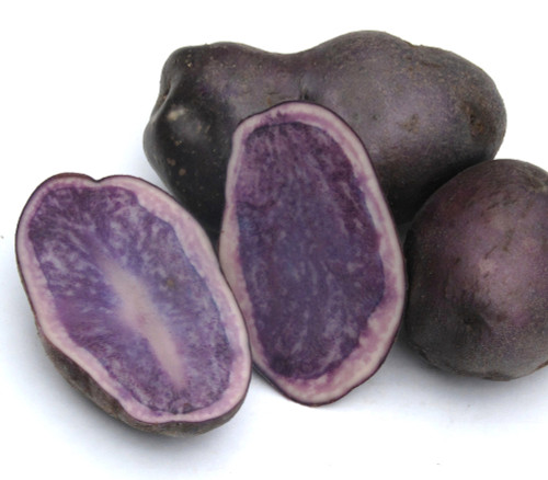 Potato Blue Mix - Seeds