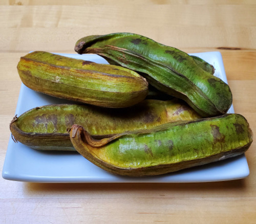 Inga vera - Ice Cream Bean Seeds