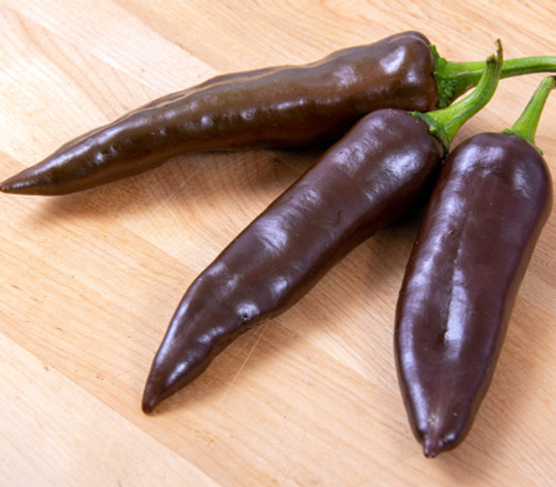 Vallero Pepper