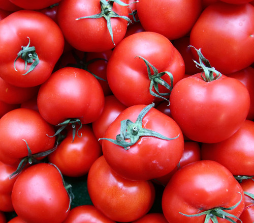 Quarter Century Tomato Seeds