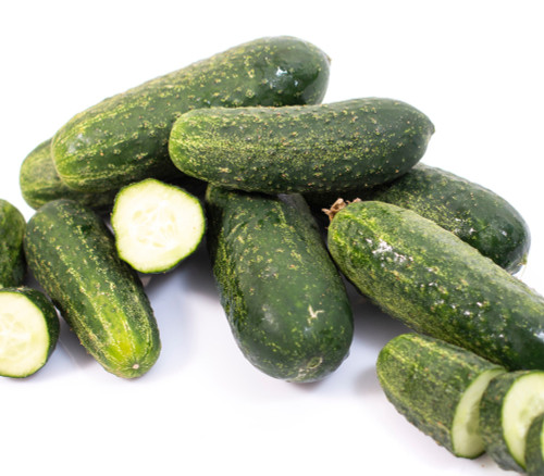 Ashley Cucumber Seeds