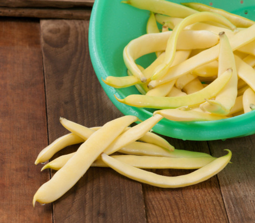 Romano Gold Bean Seeds Romano Gold Bean Seeds