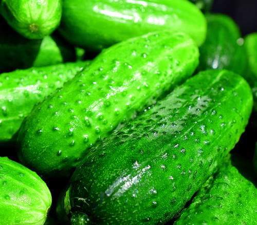 Arkansas Little Leaf  Cucumber Seeds