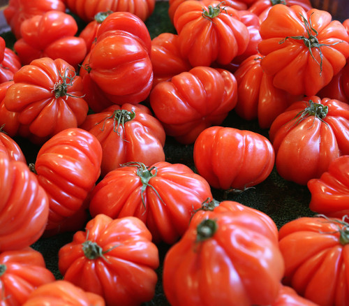 Oaxacan Pink Tomato Seeds