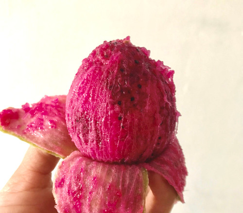 Stenocereus stellatus - Organ Pipe Cactus Rosa Mexicano Seeds