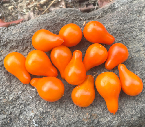 Orange Pear Tomato