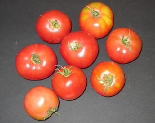 Eva Purple Ball Tomato