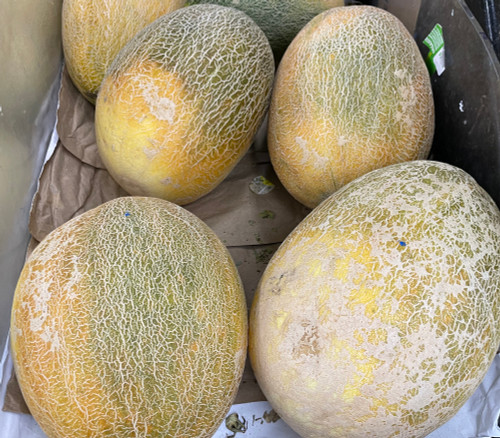 Sharlyn Melon Seeds Sharlyn Melon Seeds