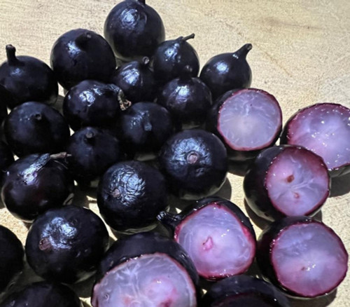 Plinia sp. - Navel Oblongata Jaboticaba - Seeds