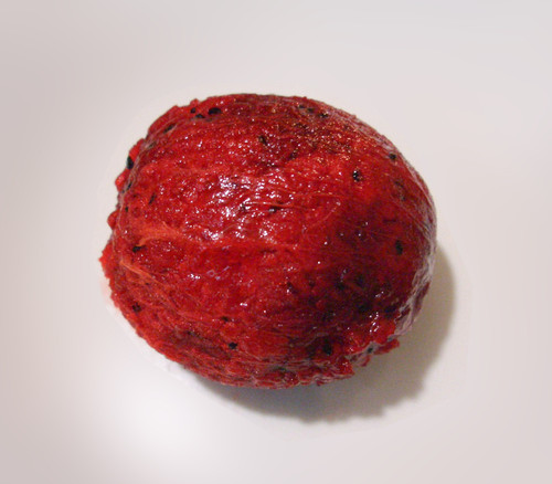 Stenocereus queretaroensis - Pitaya de Queretaro Rojo Seeds