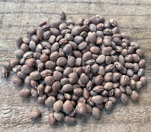 Blue Goose Field Pea Seeds