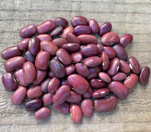 Ayocote Morado Bean Seeds