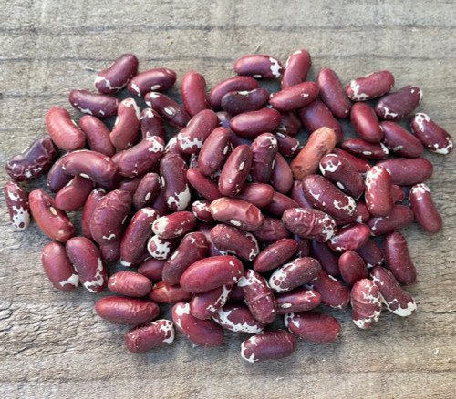 Jacob's Cattle Bean Seeds Jacob's Cattle Bean Seeds