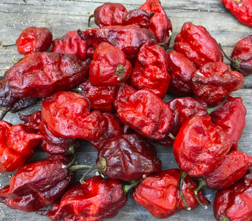 WHP 066 Pepper Seeds WHP 066 Pepper Seeds