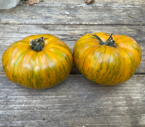 Giant Orange Green Zebra Tomato Seeds