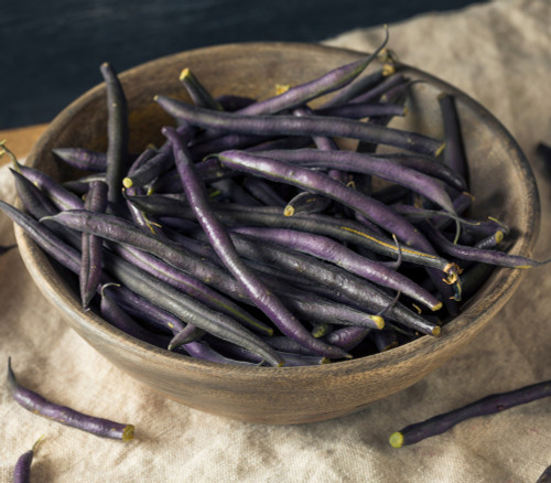 French Filet Bean, Purple Seeds