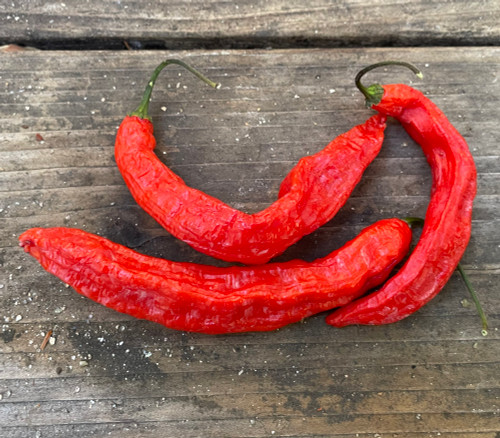 Ghostly Jalapeno Pepper Seeds