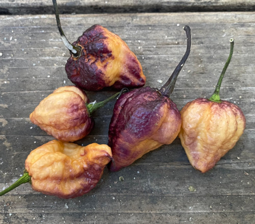 Pockmark Cream Pepper Seeds