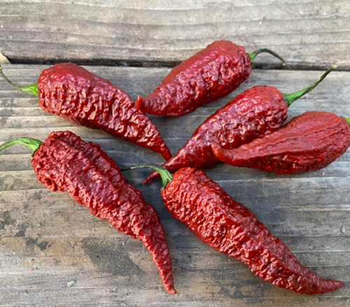 Leviathan Gnarly Scorpion Pepper Seeds