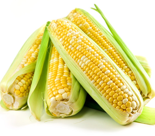 Ambrosia Bicolor Sweet Corn Seeds