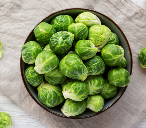 Catskill Brussels Sprouts Seeds