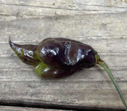 Jay's Pink Lemon Reaper Pepper Seeds