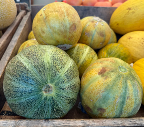 Ha'Ogen Melon Seeds