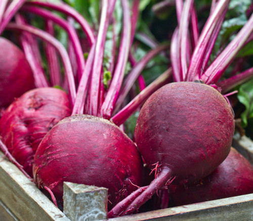 Ruby Queen Beet Seeds