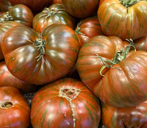 Large Barred Boar Tomato Seeds