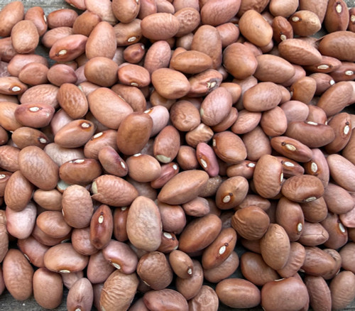 Pink Half Runner Bean Seeds