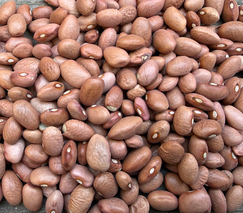 Pink Half Runner Bean Seeds