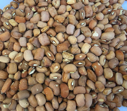 African Honey Bean Seeds