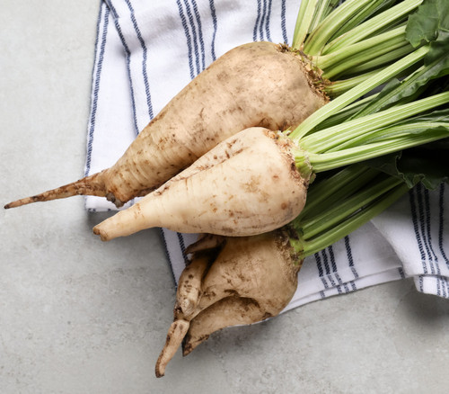 Sugar Beet Seeds